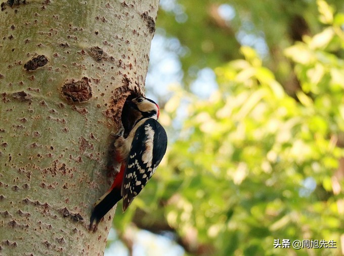 盛京3天深度自驾游好去处推荐,盛京游记