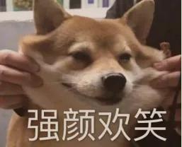 墙衣的优缺点,什么墙衣最好