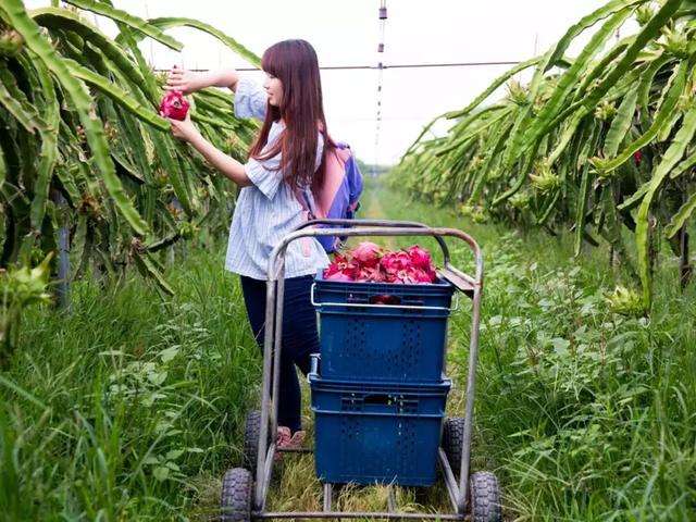 董哥：怎样整合资源，组建乡村配送网络，让快递真正下乡进村？