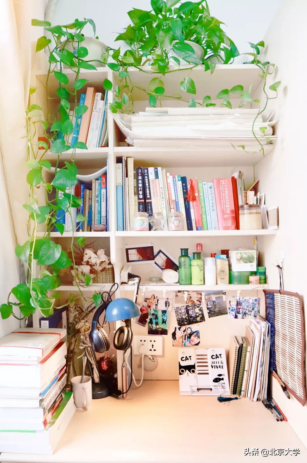 北大学霸的房间,北大宿舍都是学霸