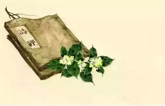 读诗经读懂六条修身处世大智慧,诗经305首及解析