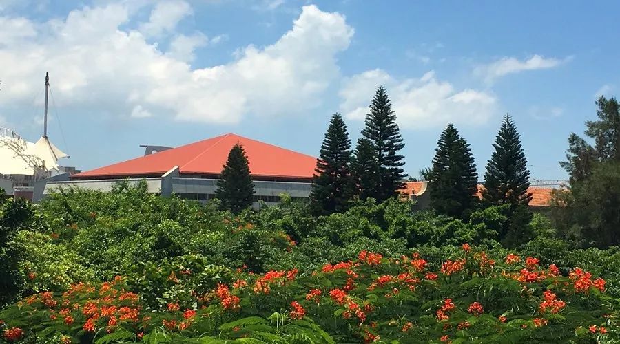 这10个冷门专业正开始变热门,10大冷门专业排行榜