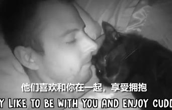 猫咪做噩梦应不应该把它叫醒,猫咪睡觉时千万不要打扰它
