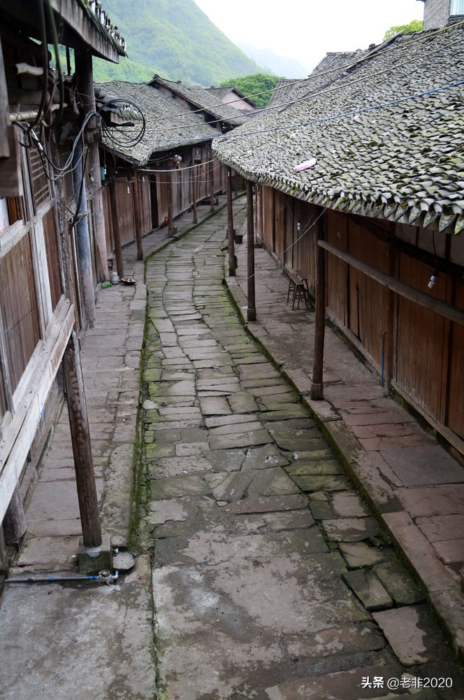 全球第一立佛是谁,世界第一立佛在哪里