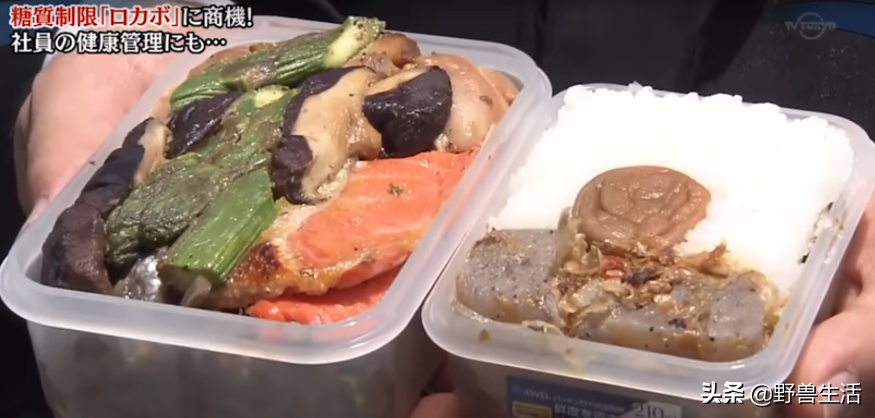 日本的泡面不够吃咋办,日本有碳水泡面