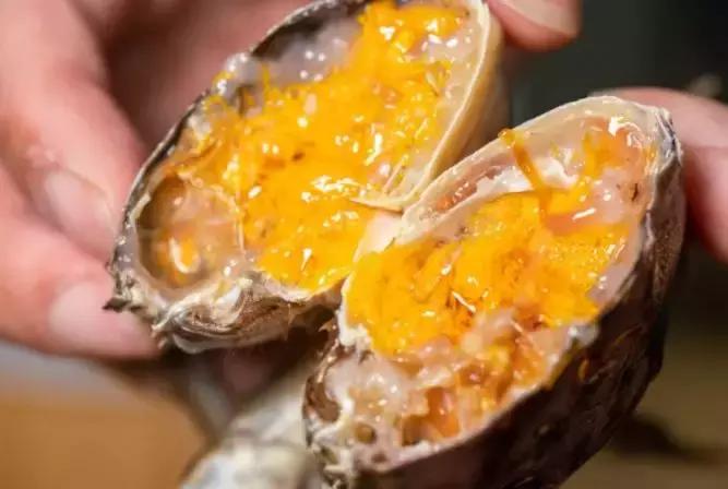 错过了六月的荷花别错过七月,错过了中秋千万别错过国庆