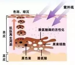出血点形成的色斑,色斑是怎么形成的视频