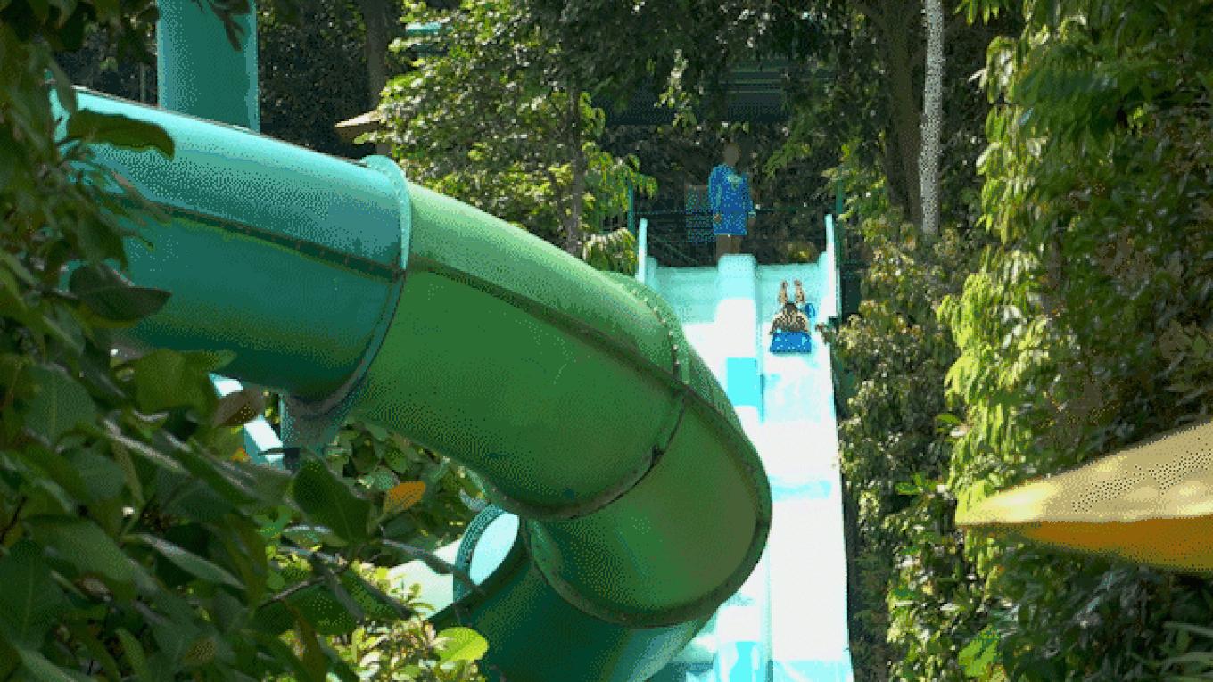 5年之许，小白逆袭重返新加坡