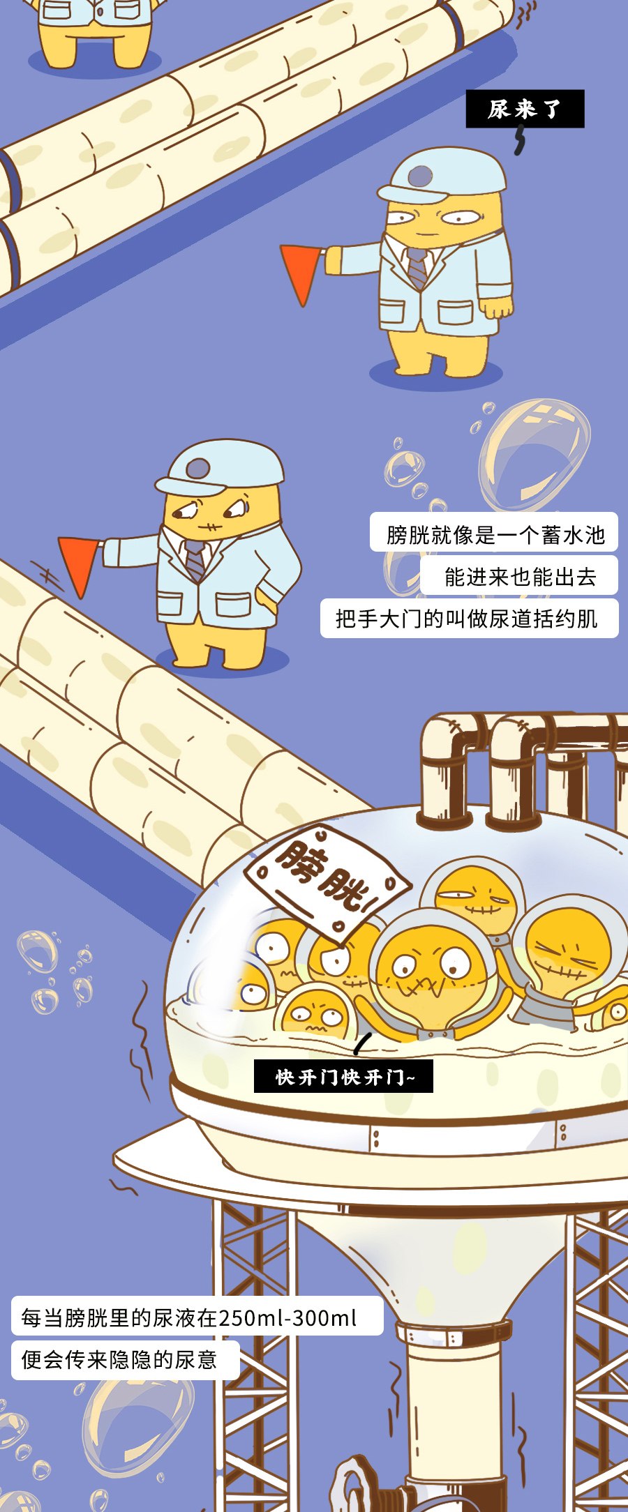 8周做b超憋尿憋到什么程度,怀孕彩超憋尿需要憋到什么程度