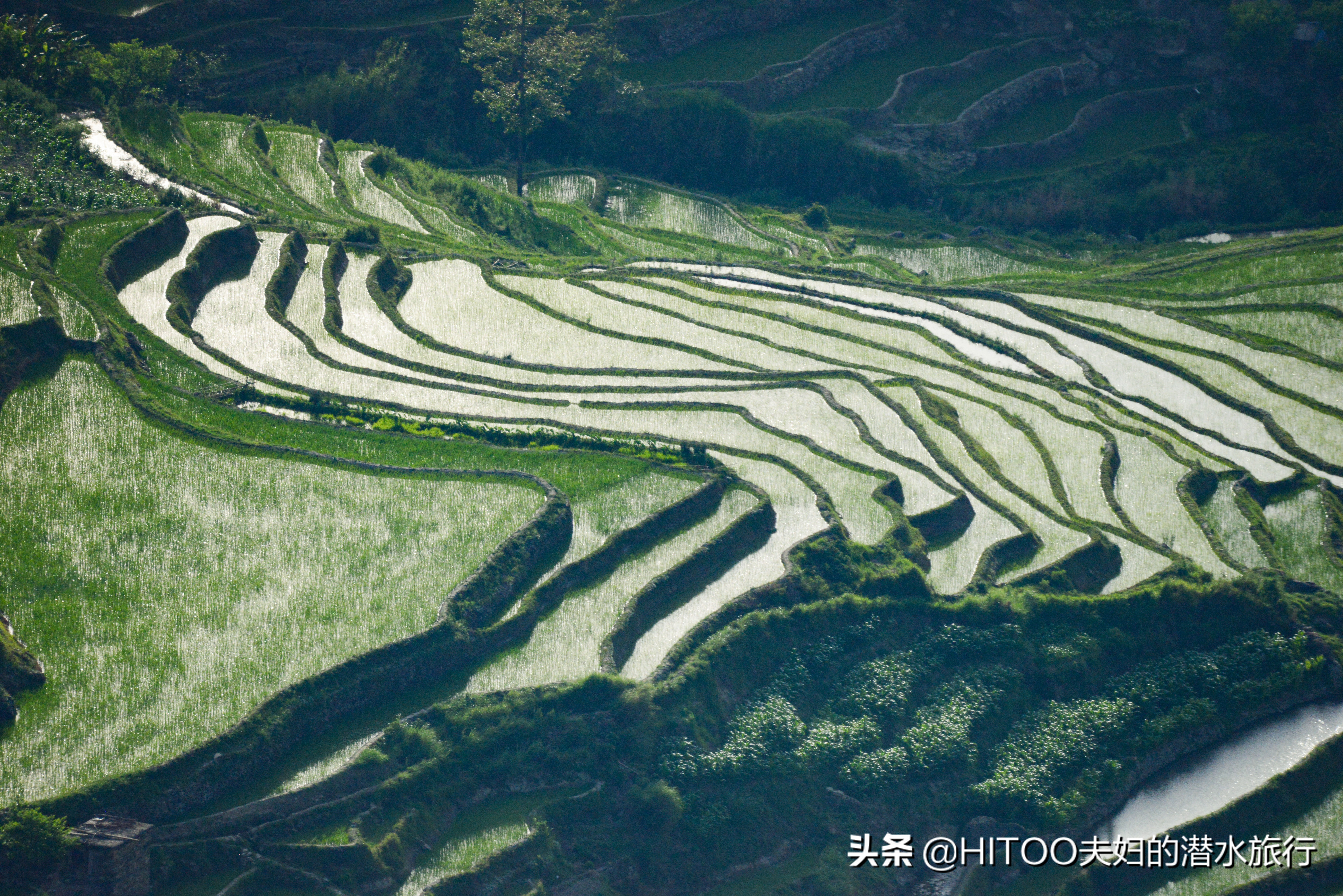 不花钱看元阳梯田自驾攻略,元阳梯田自驾游攻略
