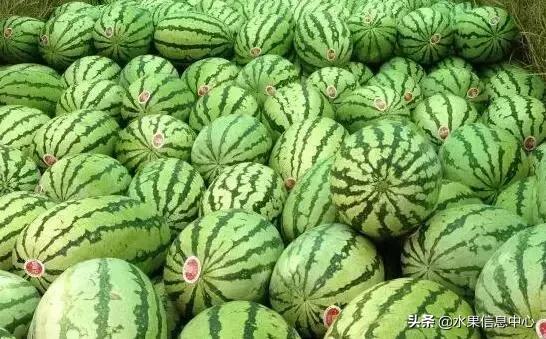 中国水果大全,中国水果大全图片和名字