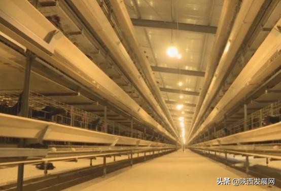 略阳县重点工程,略阳今年重点项目有哪些