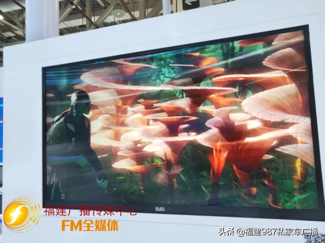 @福建人市民可以免费逛