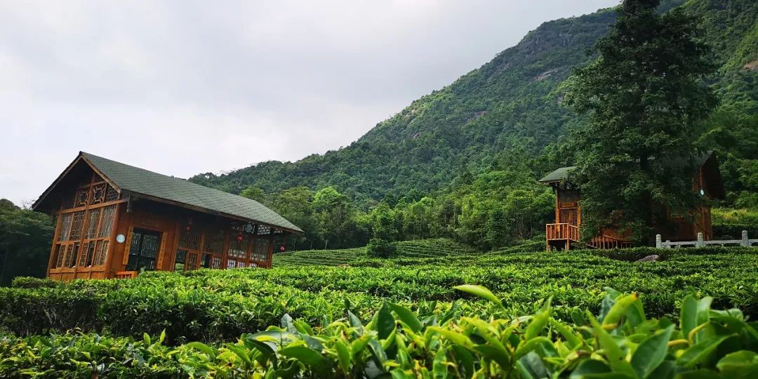 贺州姑婆山景区国家森林公园,贺州姑婆山森林公园路线