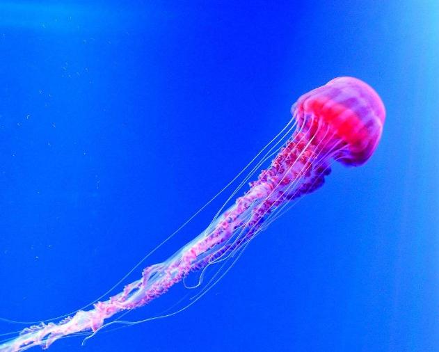 生物学科死记硬背学好吗,学好生物的方法和技巧