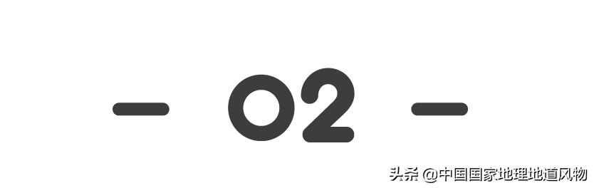 东北三省哪里的饺子好吃,东北的特色饺子