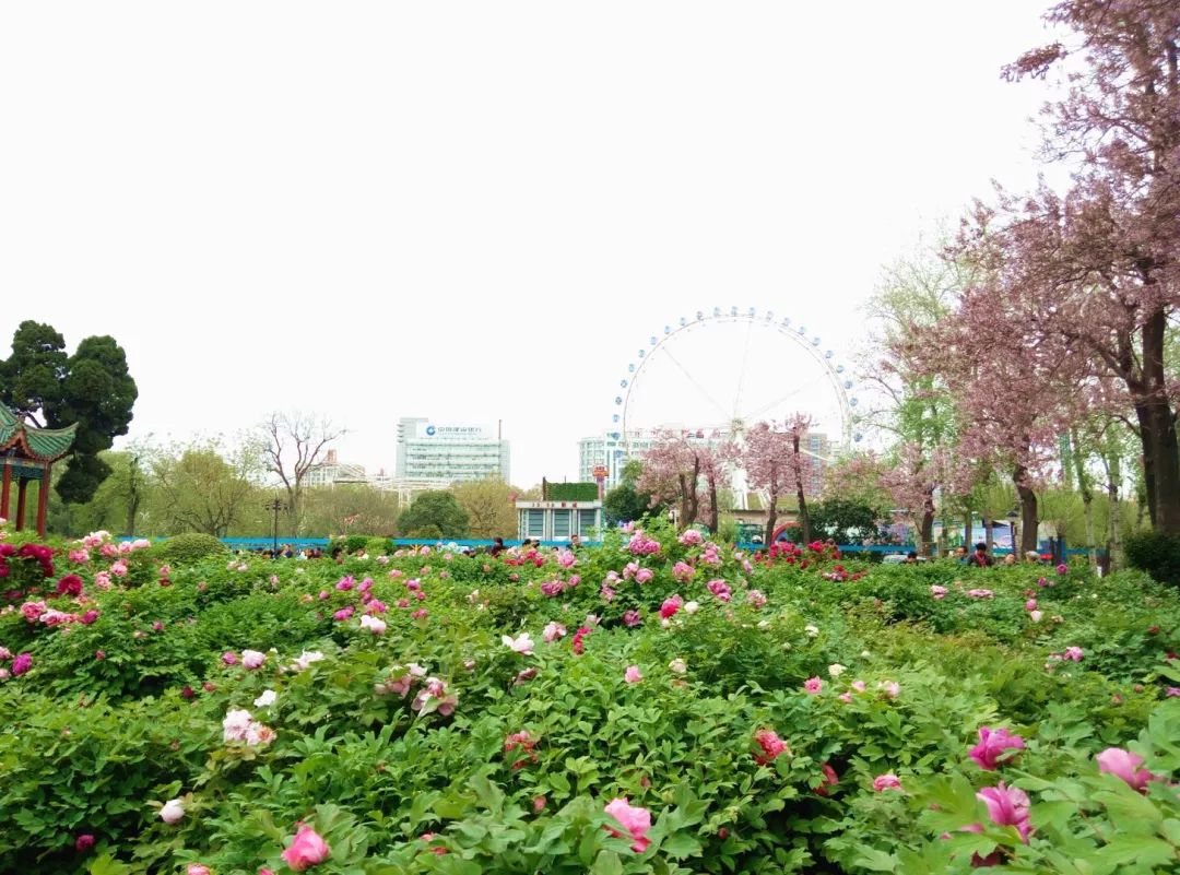 郑州免费运动场,郑州公共健身器材公园