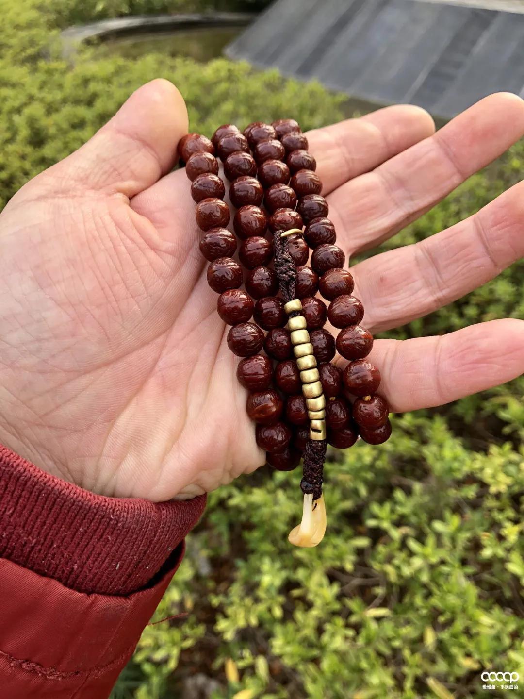 圈子人称“尿素手”！他玩凤眼，一年比我5年玩得还好