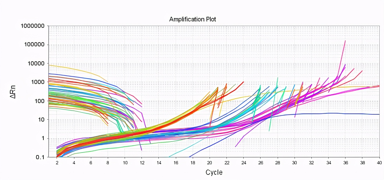 qpcr一点曲线都没有,qpcr循环数不一样怎么办