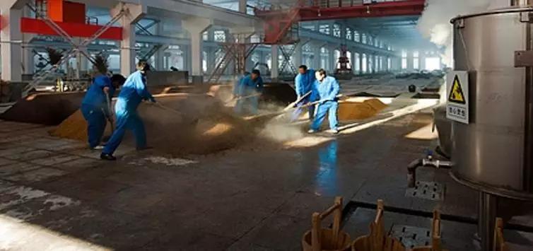 酒的基本知识及答案,酒知识和技巧