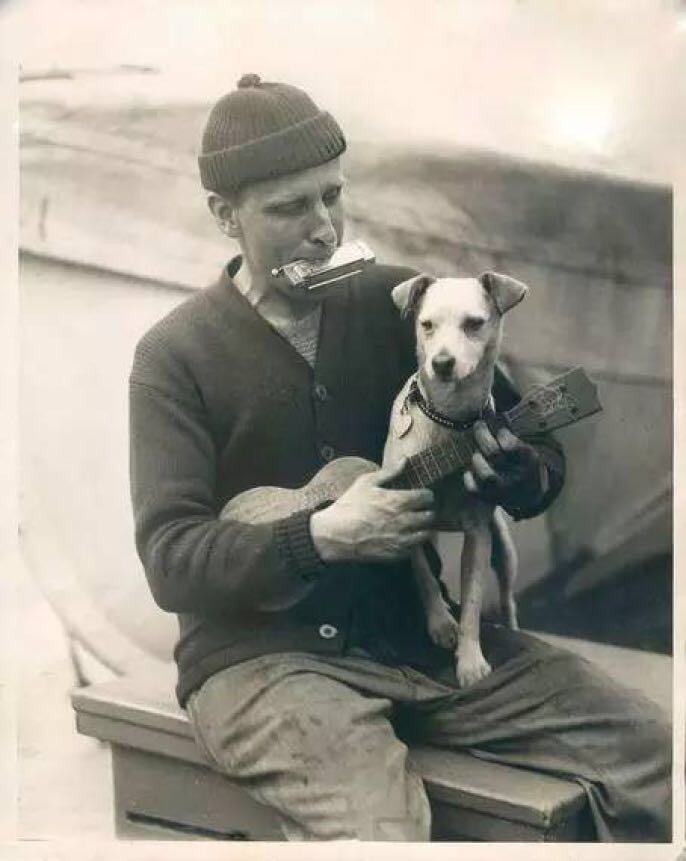 hpl板材有什么好处,hpl板材基本介绍