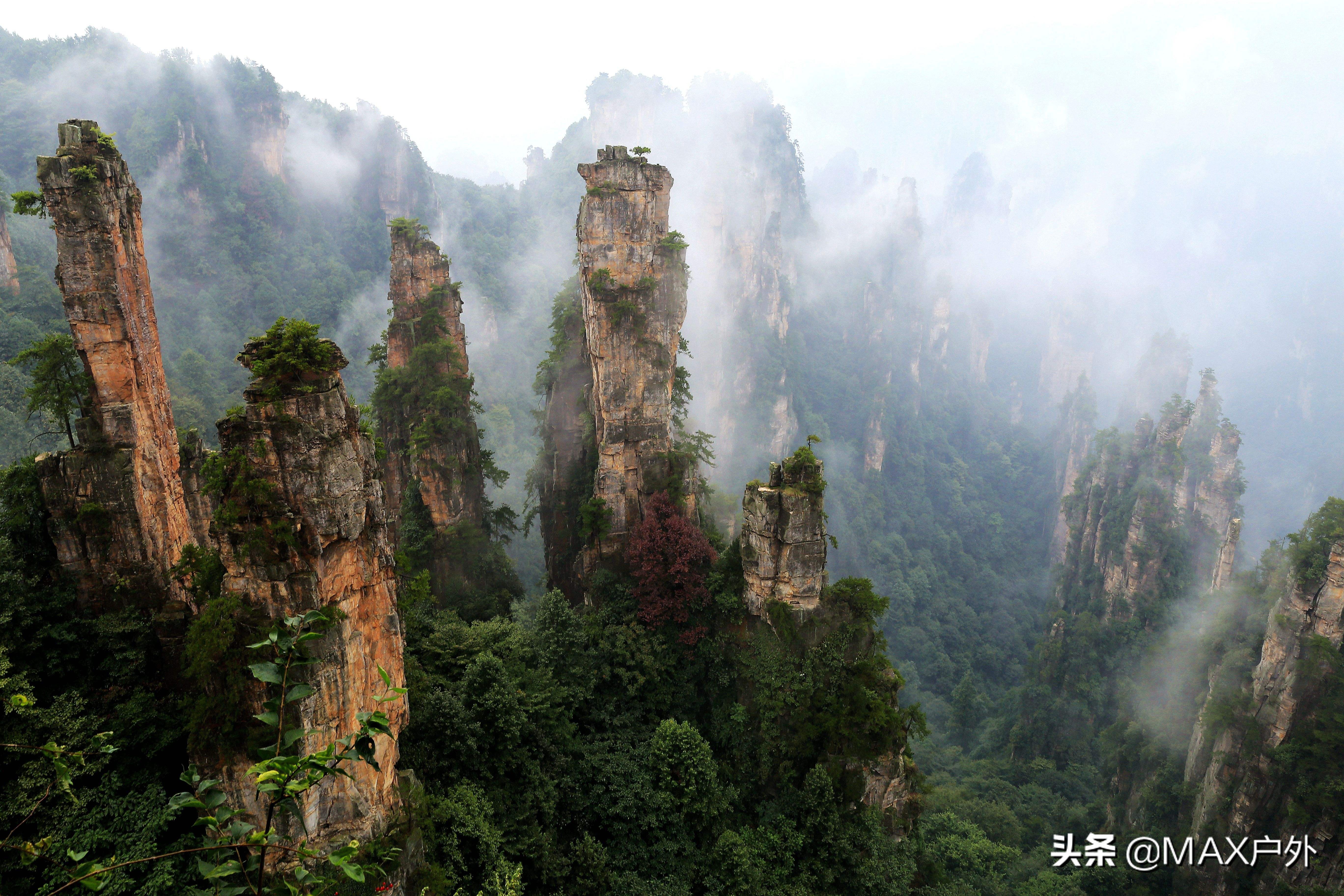 开启你的天然氧吧洗肺之旅,富氧洗肺好去处