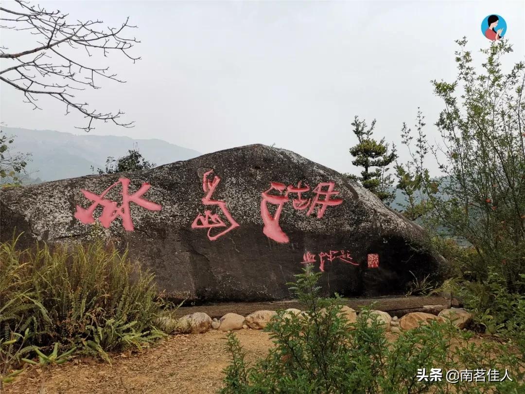 冰岛老寨大秋茶园的茶是真的吗,冰岛五寨之一糯伍什么口感