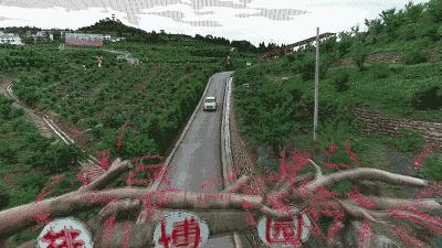 阳春3月桃花与油菜花交相辉映,三月的油菜花和樱花好看吗