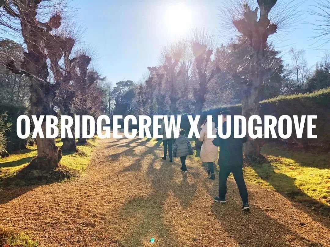 英国小学学校排名,英国学校排名小学