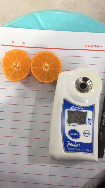 砂糖橘正不正宗,沙糖桔假货都有哪些品种