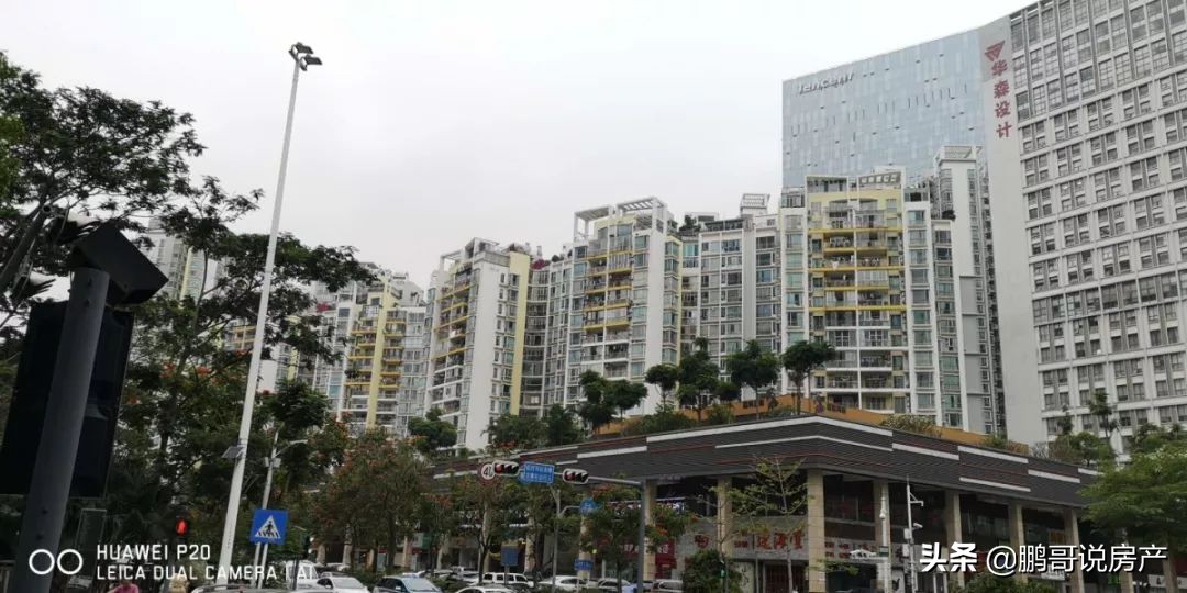 深圳南山最值得入手的学区房,深圳顶级学区房狂降662万元