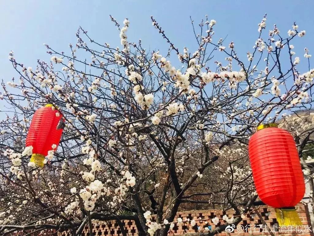 威海五一旅游攻略,五一威海旅游有一起的吗