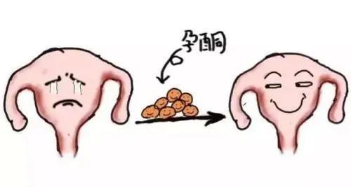 孕酮p值,男性孕酮p偏高说明什么问题