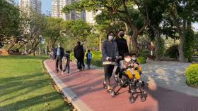 福建春天花海旅游攻略,福建春季游玩好去处推荐