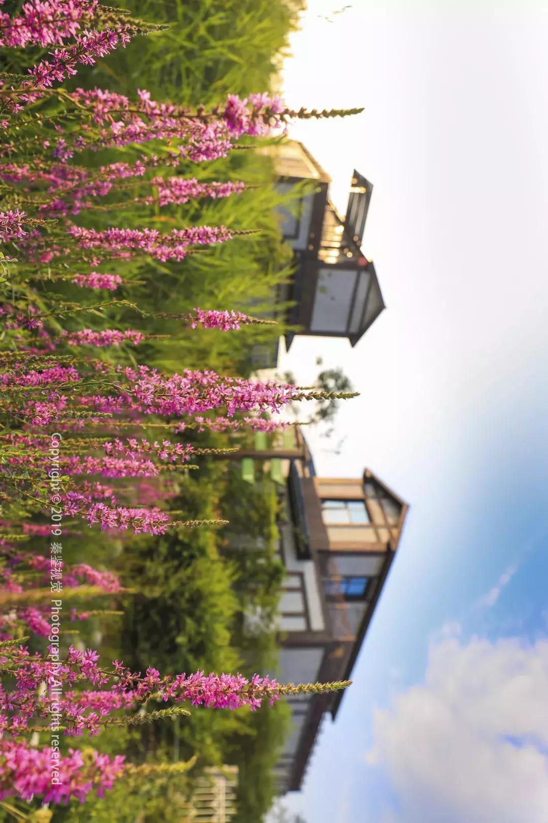 泾河新城是个什么样的地方,集贤里泾河新城