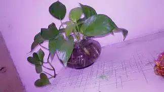 耶稣说人活着就是受苦受累的,耶稣讲一切都是最好的安排