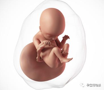 孕期记录18周,孕期周刊27周