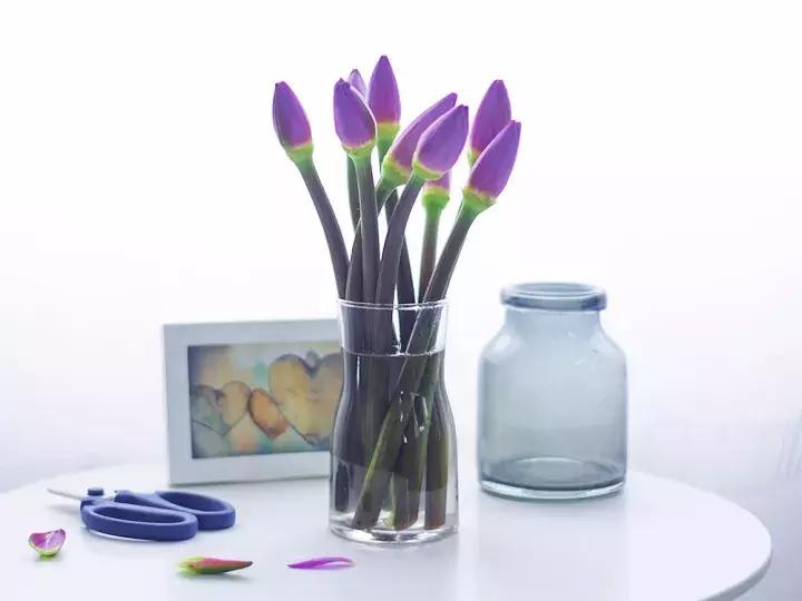 花店不会告诉你的秘密,花店不想告诉你的养花秘密