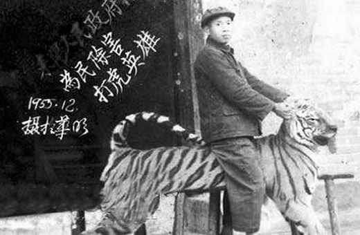 回顾常德会战八千虎贲的始末,人虎之战真实故事