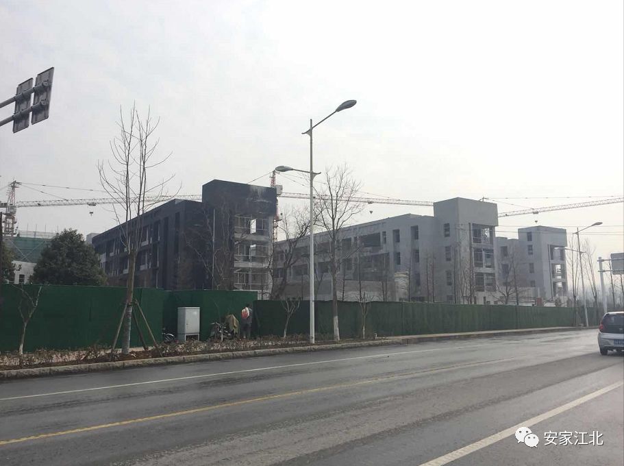 北京东路小学开发区分校,北京东路小学分校紫金分校怎么样