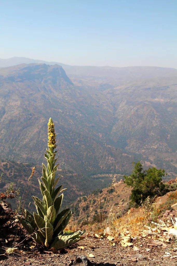 5个世界上最美的地方,欣赏世界上最美的80个地方