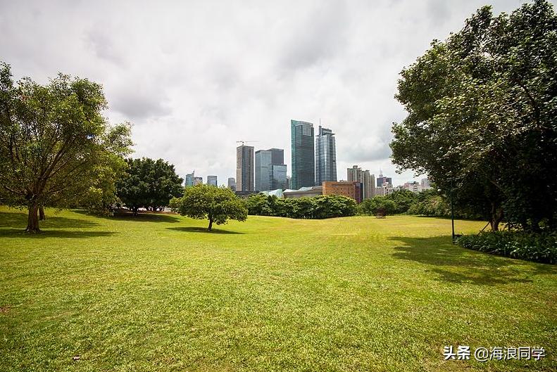 深圳是一座低调的城市,深圳一个充满活力的城市