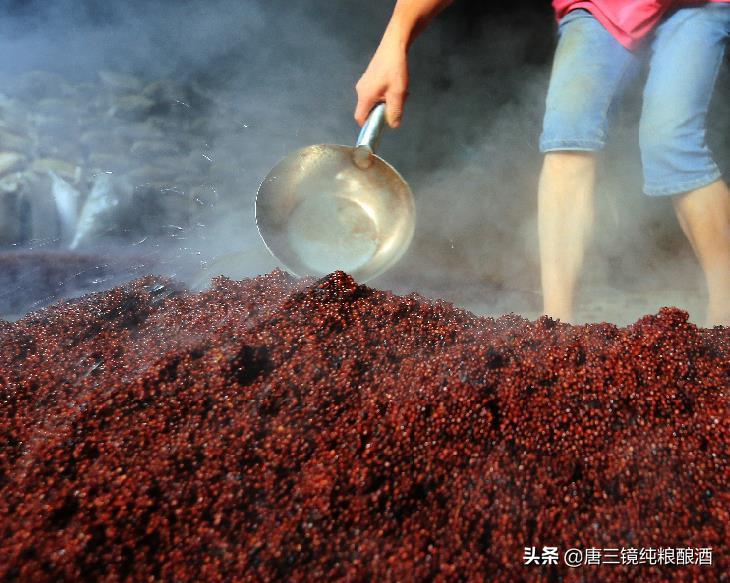 真全粮酿酒教学直播,酱香型白酒小型酿酒工艺流程