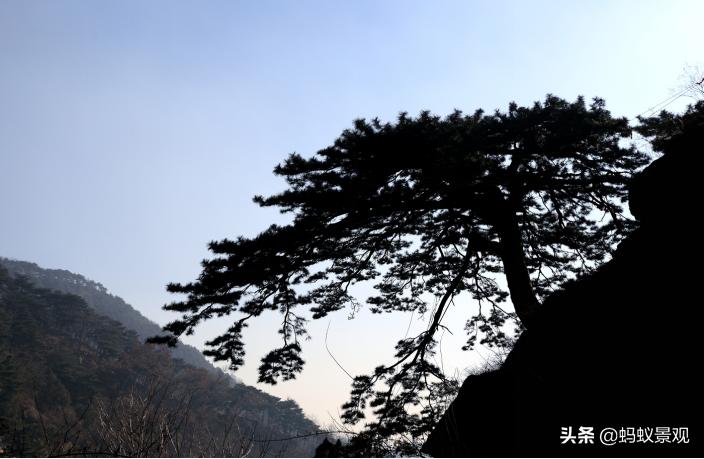 陈从周的园林作品有哪些,陈从周中国园林风格