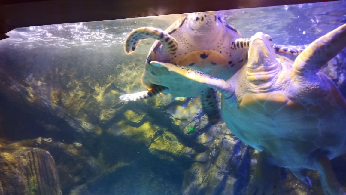 跟团北京三日游,北京旅游团三日游价格