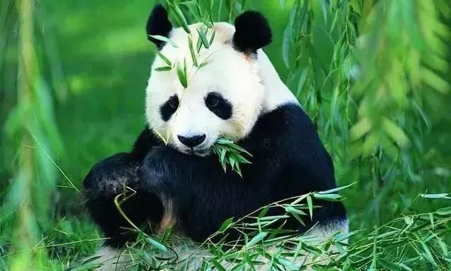 地埋式垃圾分类处理点,地埋式垃圾桶垃圾分类