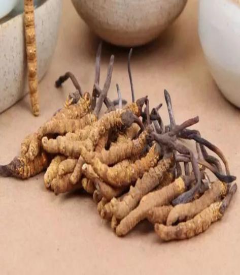 十大常见的诈骗招数是什么,生活中的诈骗手段有哪些