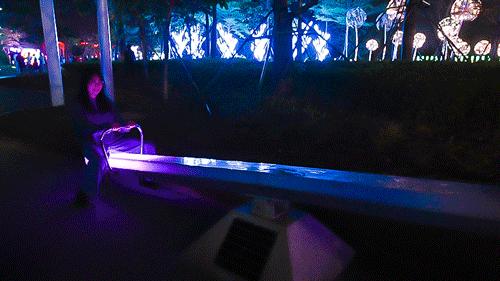 熊猫来永庆坊,鹰潭大熊猫