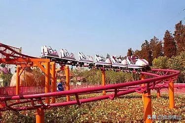 三水荷花世界99元套票,三水荷花世界自驾游门票团购