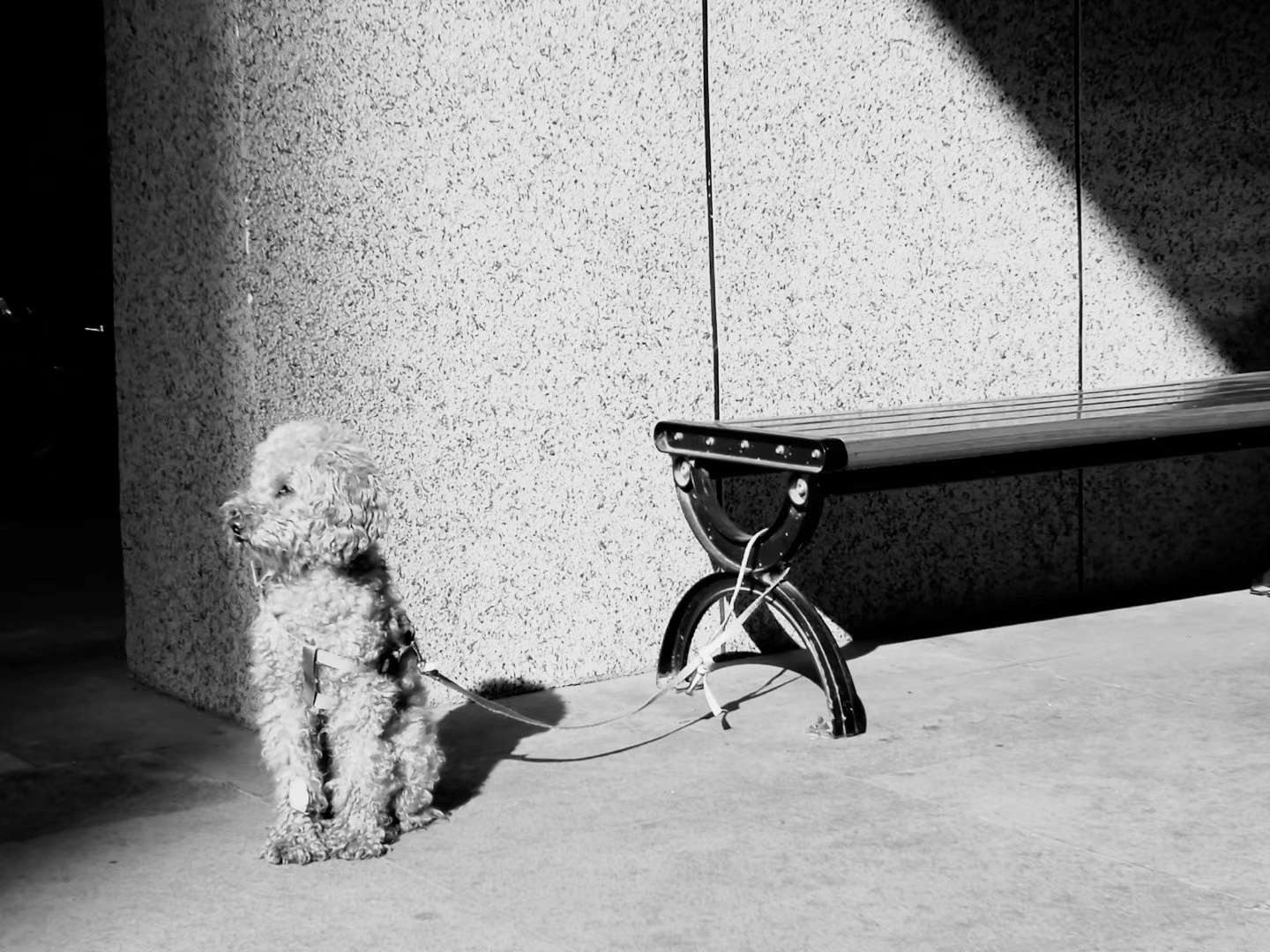 瞬间时空后续,瞬间时空